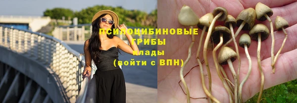 таблы Майский
