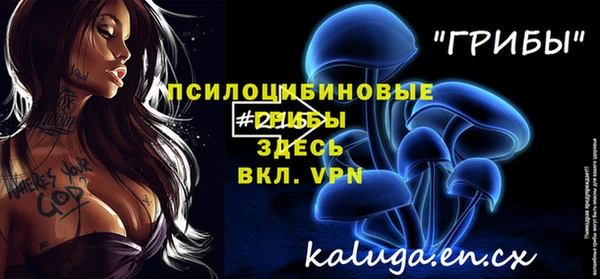 спиды Мегион