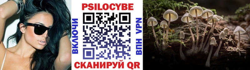 Купить где  Лиски  Псилоцибиновые грибы Cubensis 